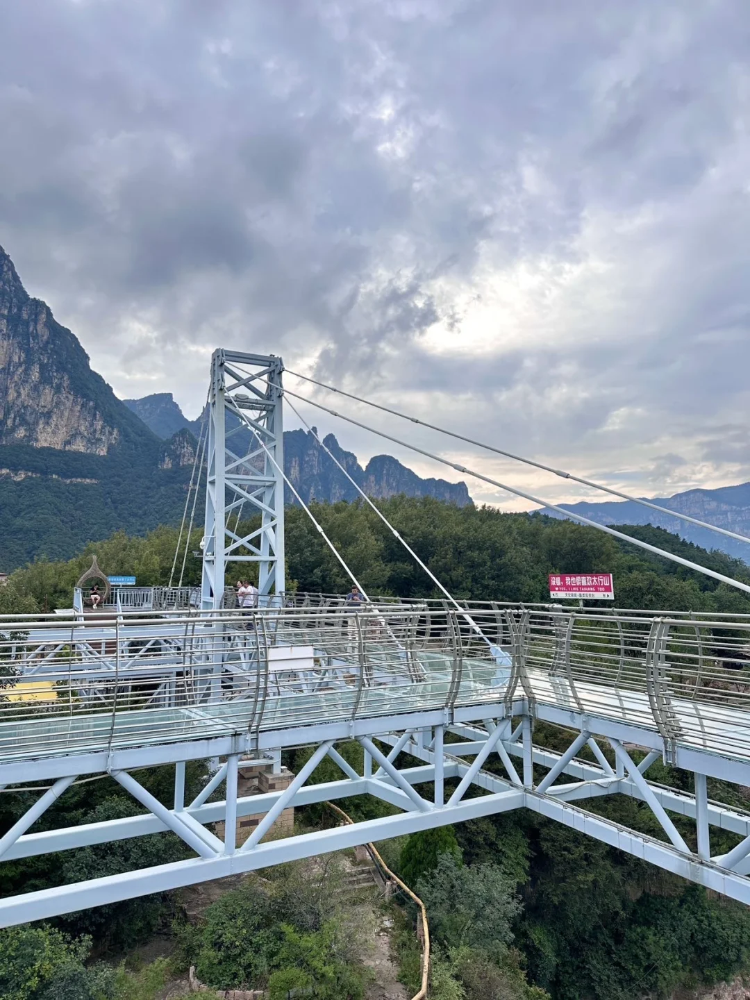 放轻松 森呼吸🍃