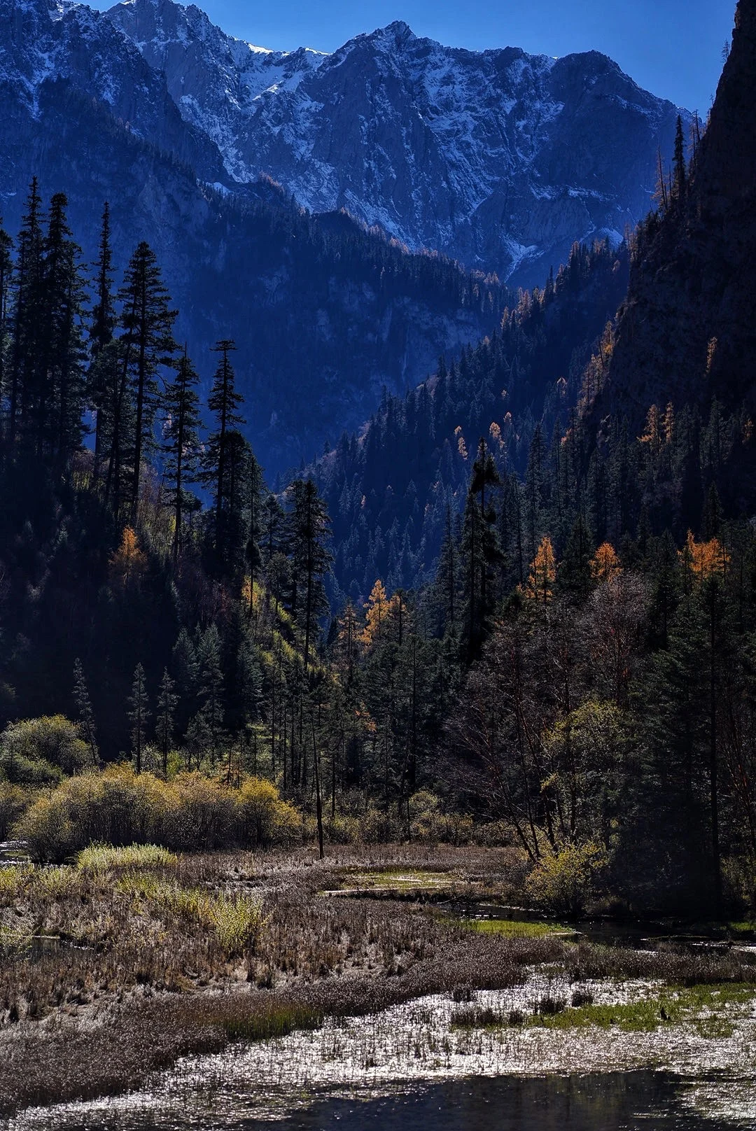 其实玩好九寨沟的精髓是松弛