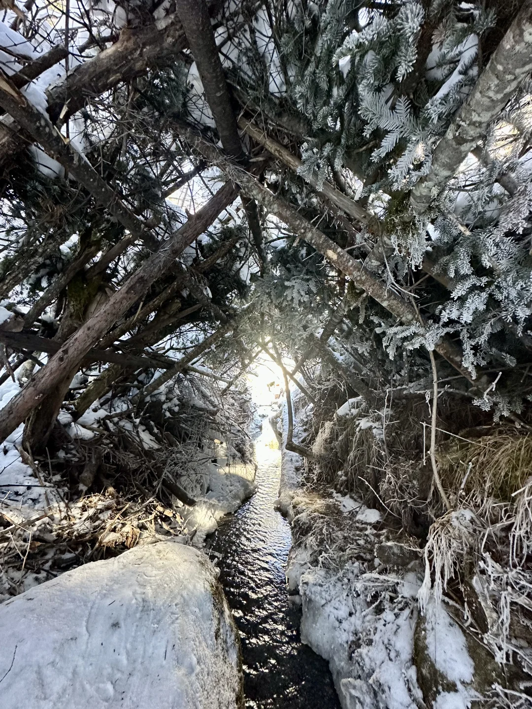 原本以为尔滨够美啦,直到去了这里…附线路