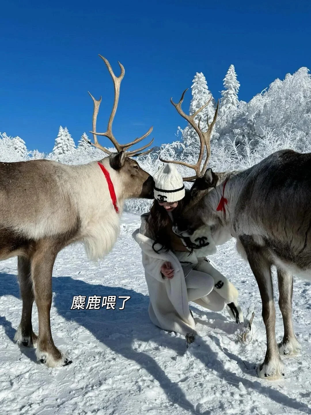 冬天带娃去长白山,真的比瑞士还震撼!