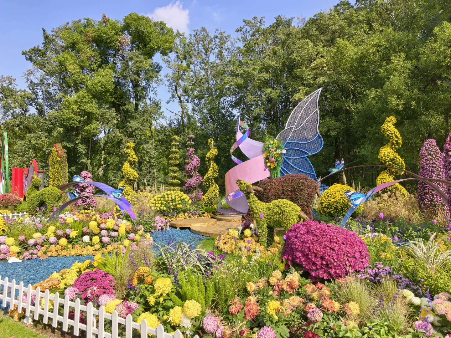 共青森林公园菊花展赏玩全攻略