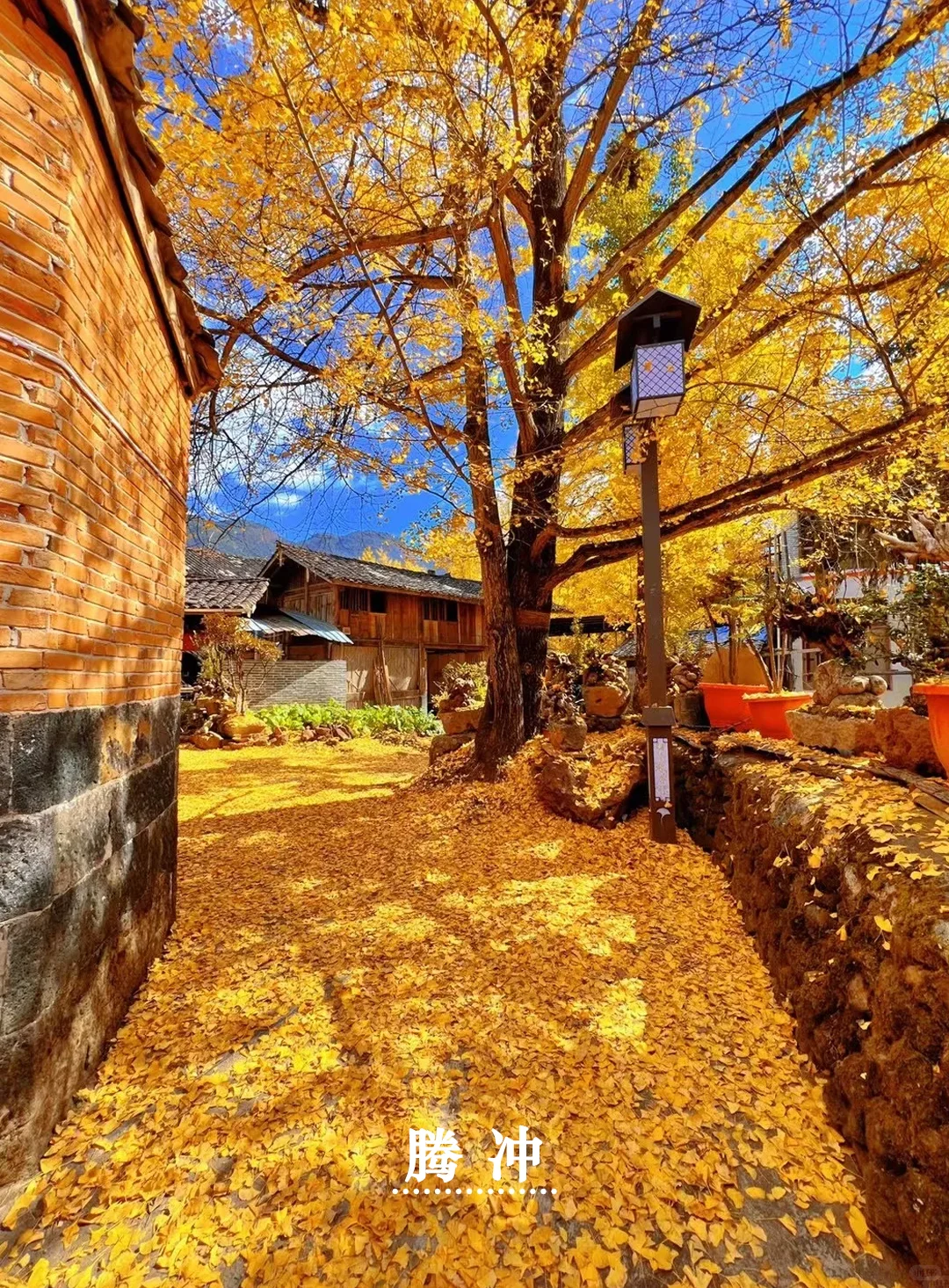 没早点刷到❗来云南跟团｜轻奢纯玩🔥强推