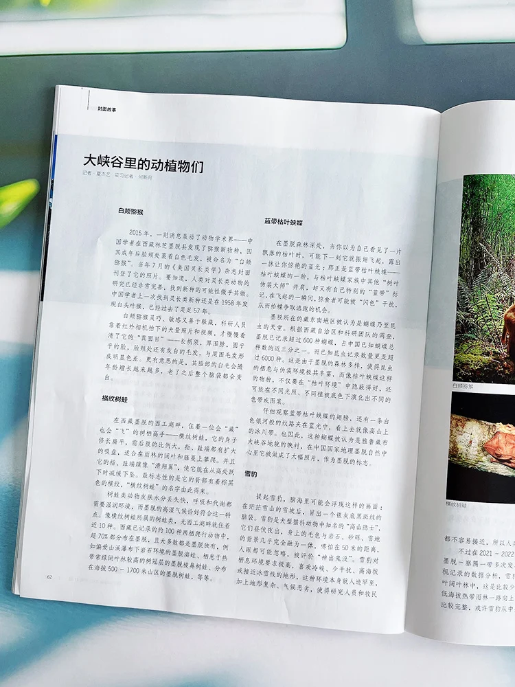 隐秘的莲花秘境🌺墨脱！这里拥有整个世界