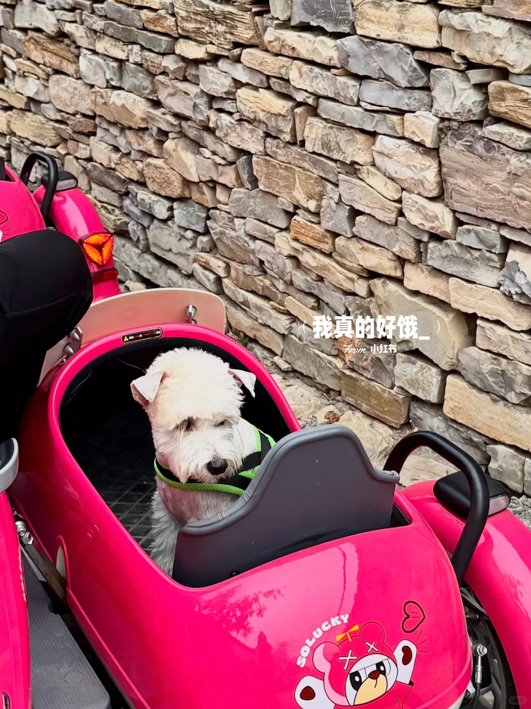 周末京郊游｜在蓟县的48h⛰️逛吃逛吃逛吃…