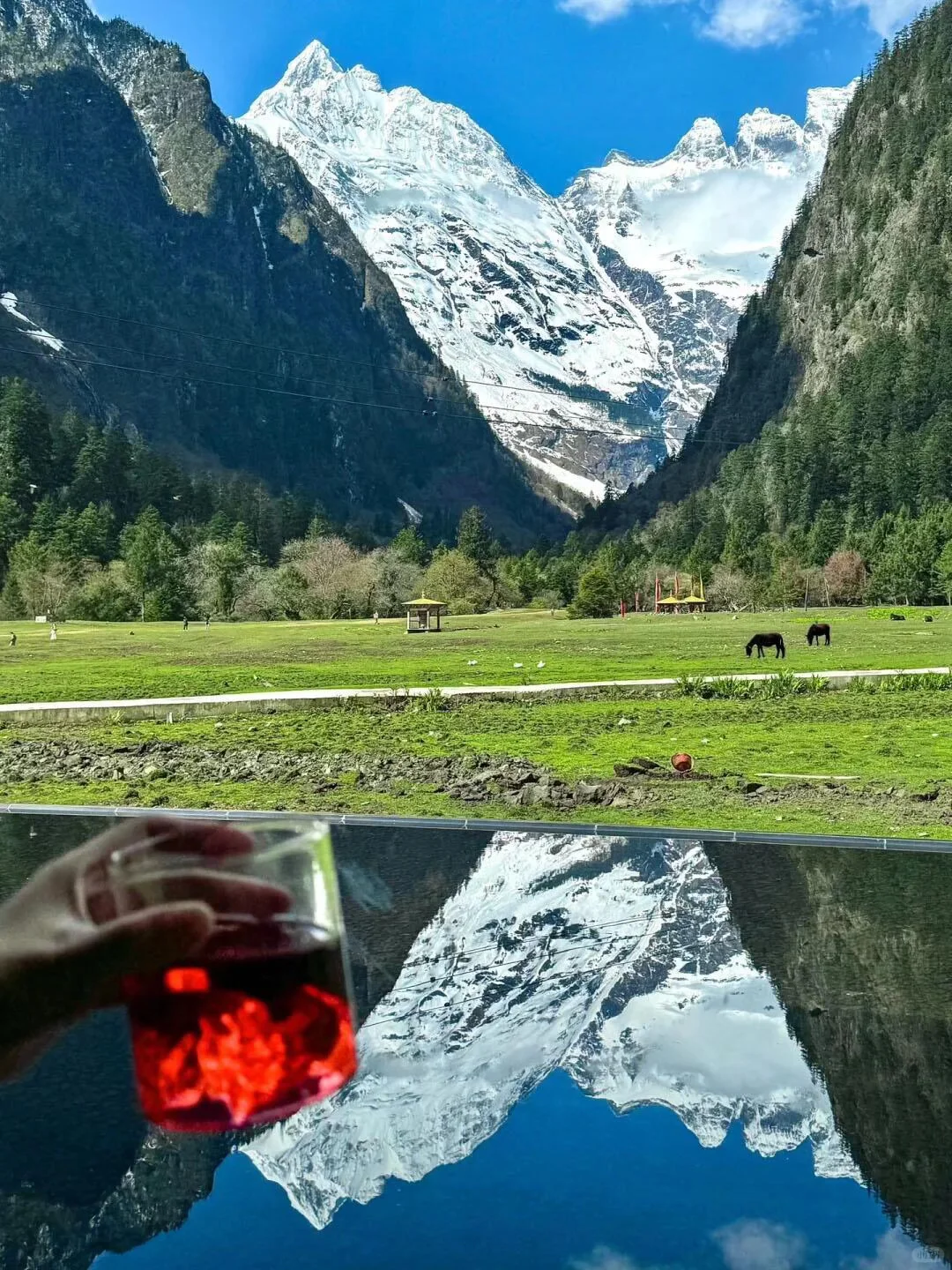 9-11月淡季梅里住雪山酒店，后劲比失恋还大