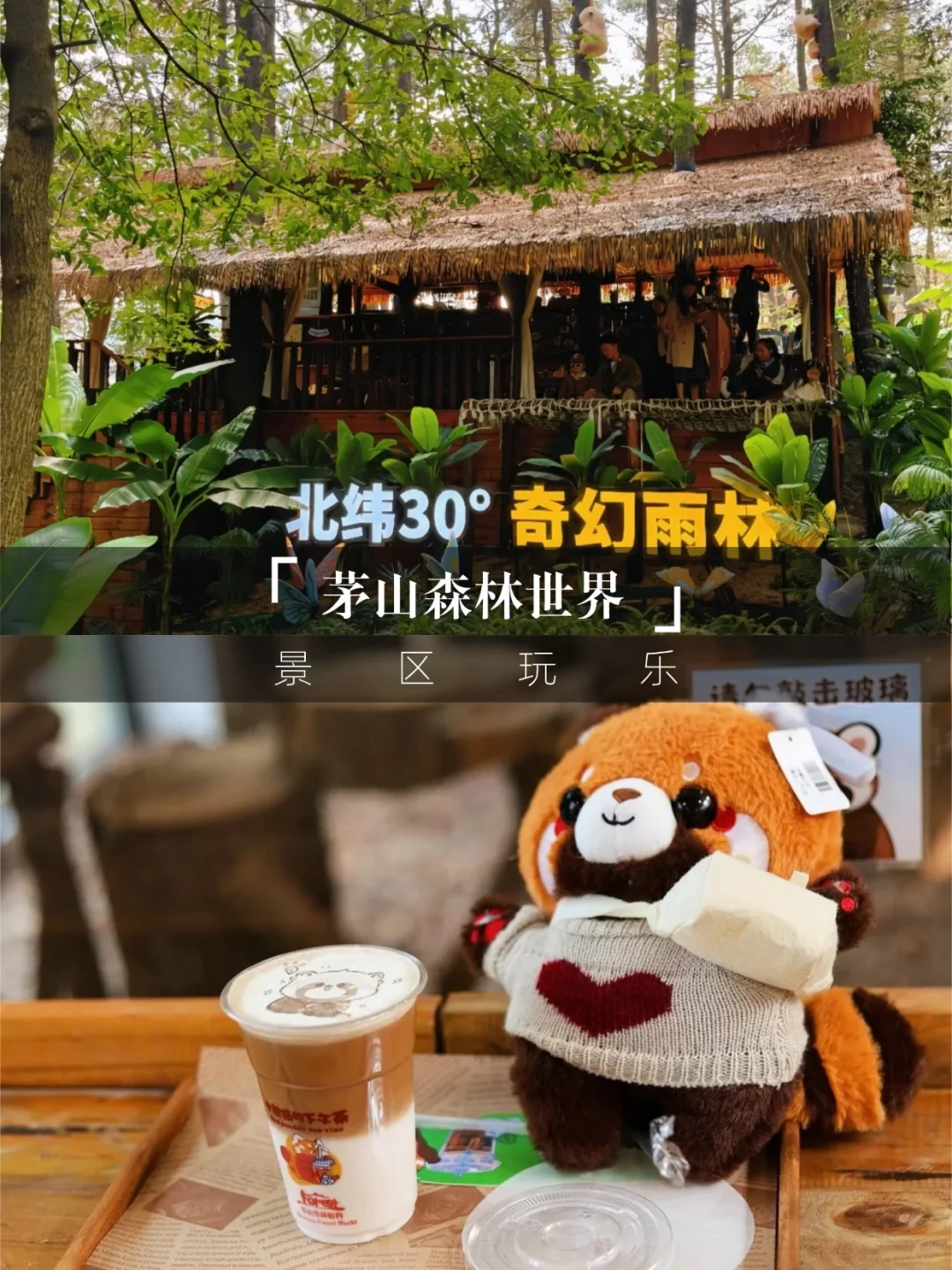 带娃闯进童话乐园🐼茅山森林世界跟风成功