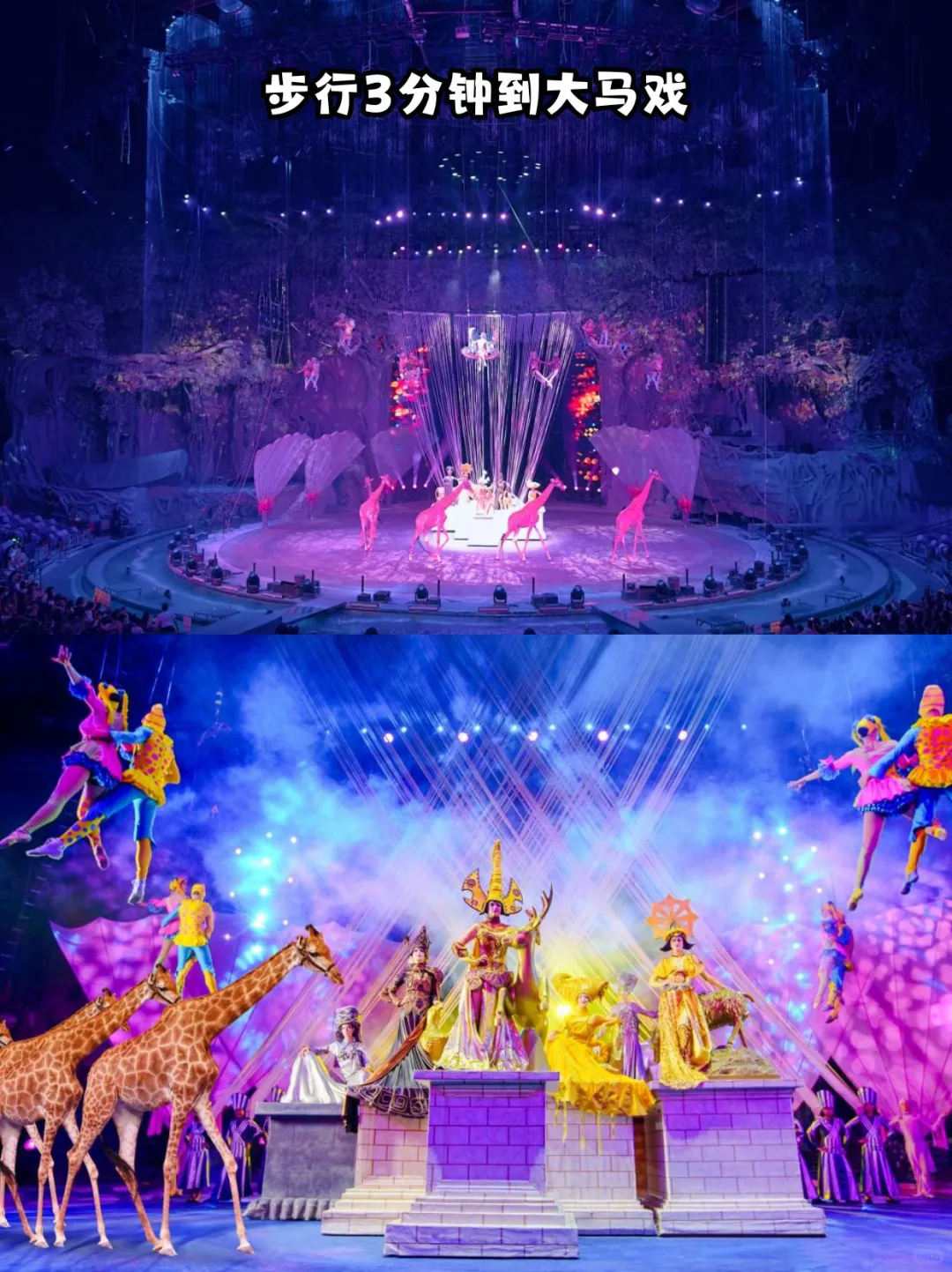 限时福利｜双人玩广州长隆三园，住熊猫酒店