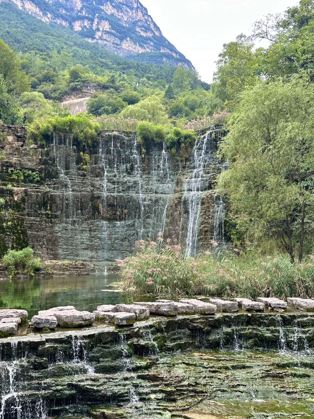 放轻松 森呼吸🍃
