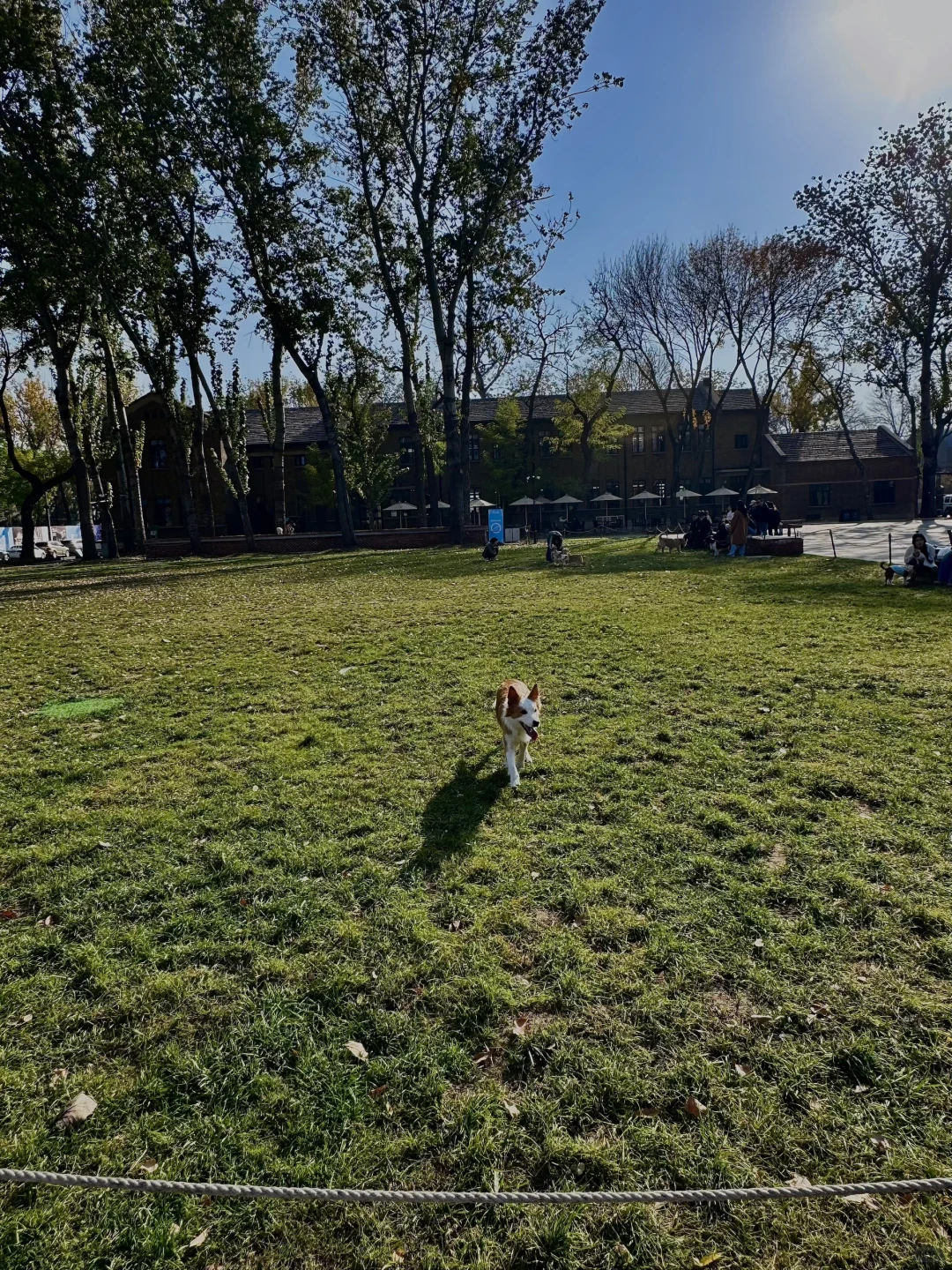 天津小欧洲。。。👍🏻