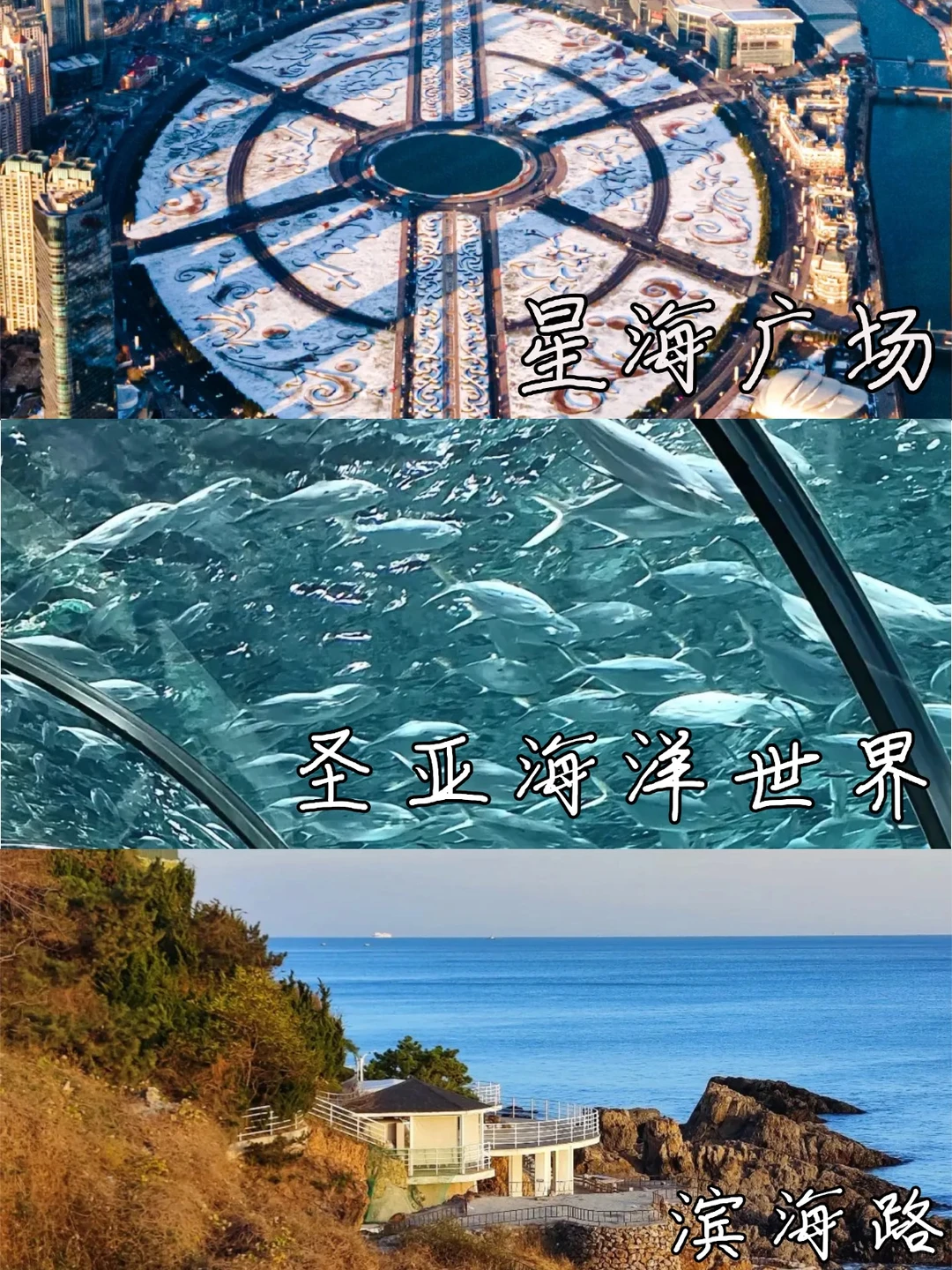 大连旅游攻略丨大连必打卡的10个景点