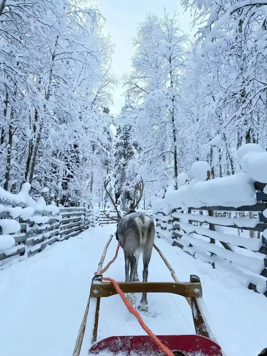 冬天带娃去长白山,真的比瑞士还震撼!