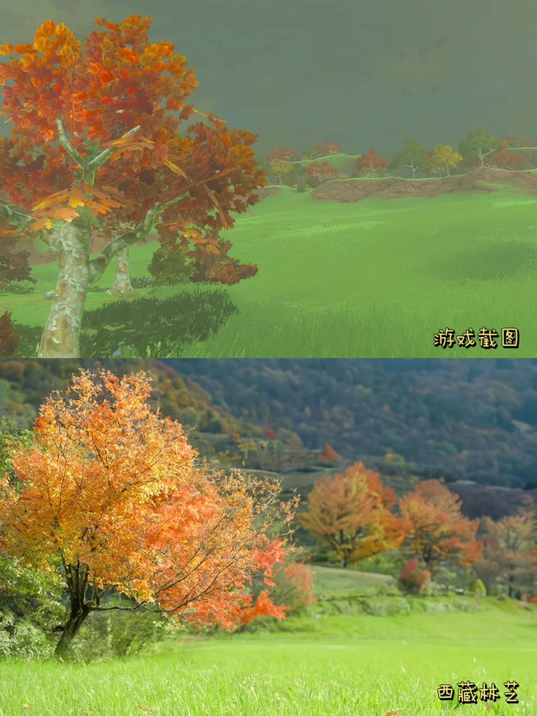 推荐9个我认为冷门又好玩的地方‼️