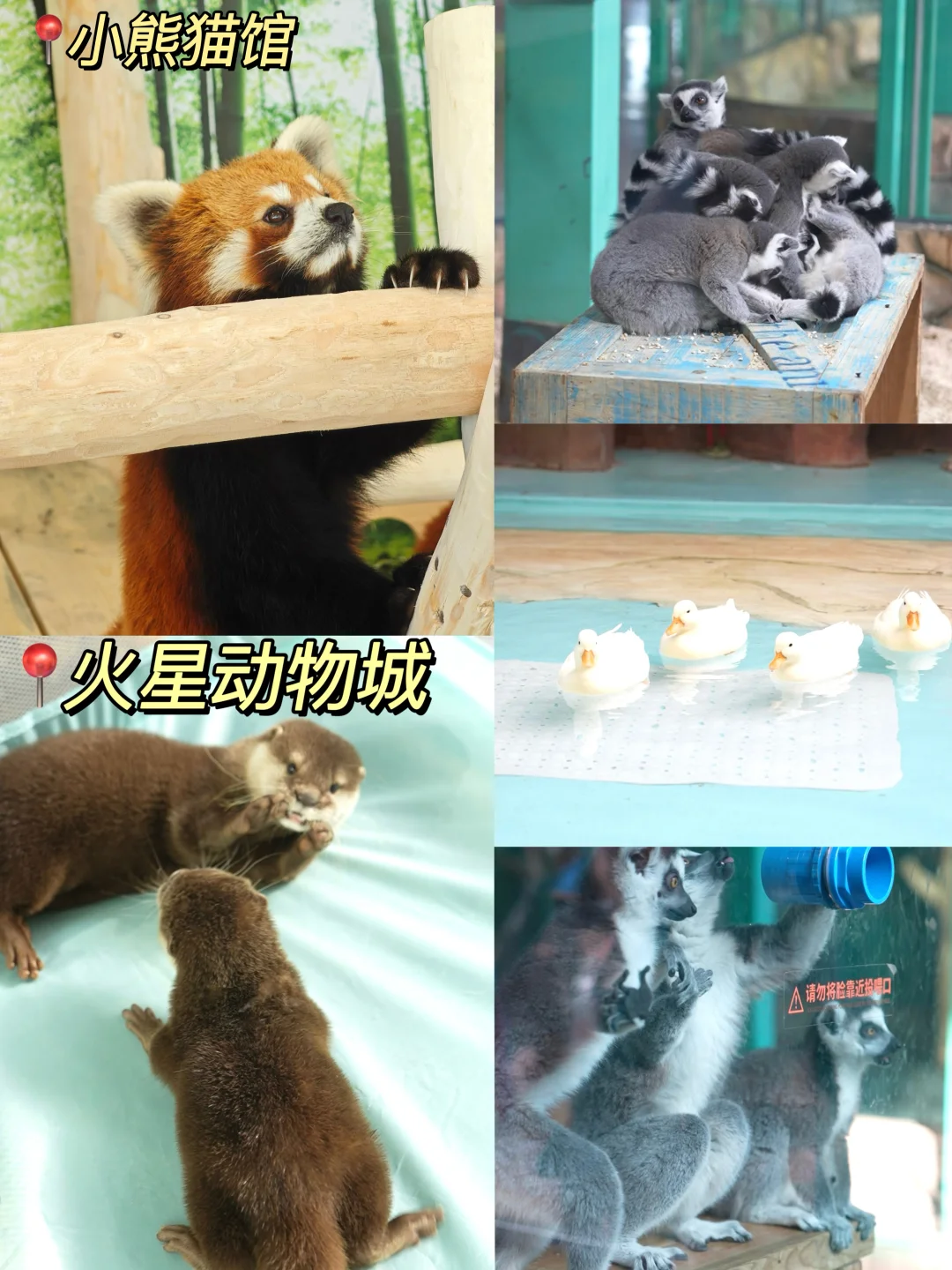 淡季哈尔滨📍旅游攻略（体验感拉满💕