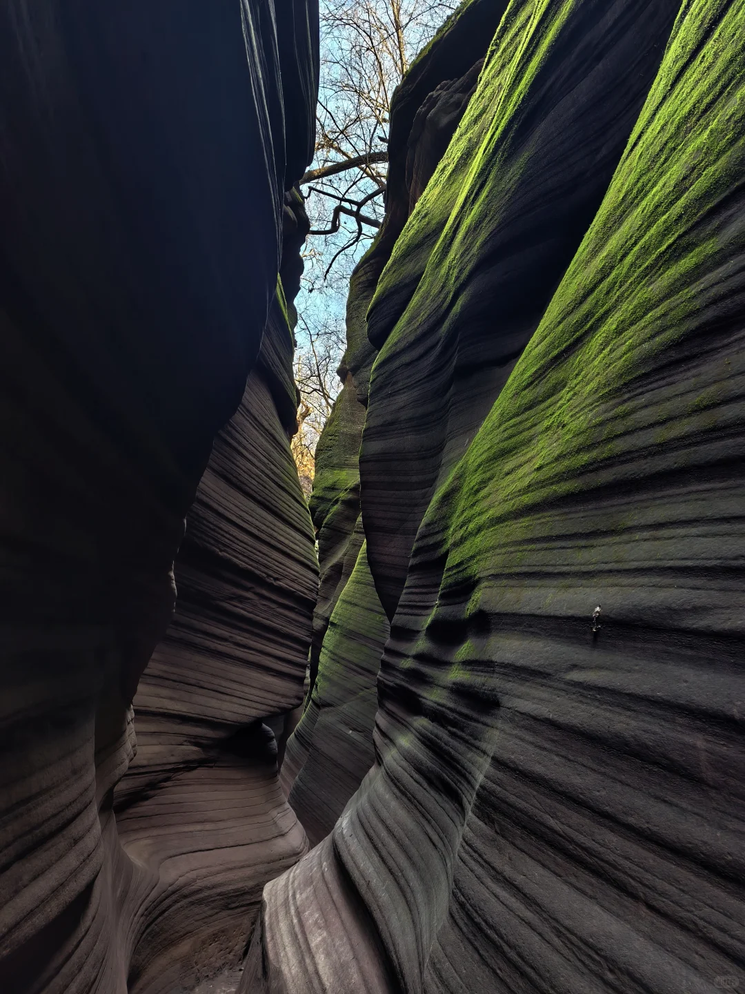 山西行｜Day4️⃣延安-靖边