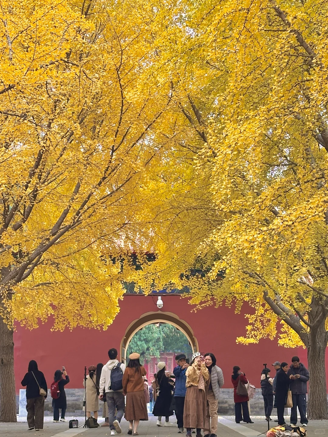 北京的秋还没结束！本周9️⃣个公园赏秋依然美