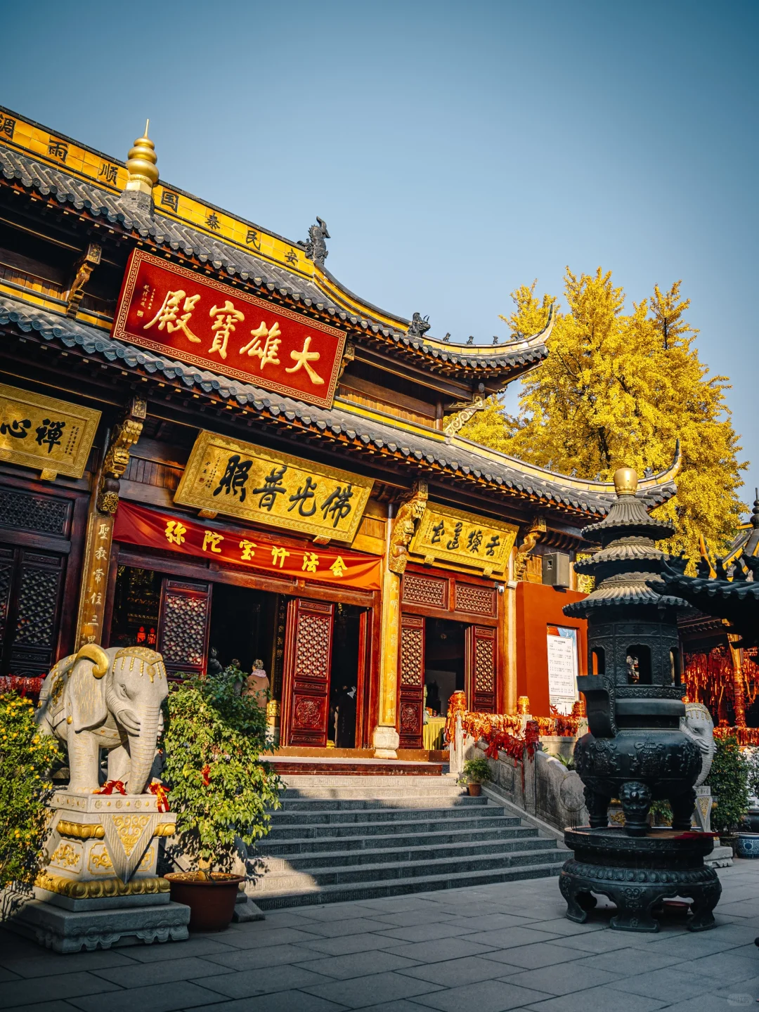 不出合肥，也能拍到很美的银杏景色！