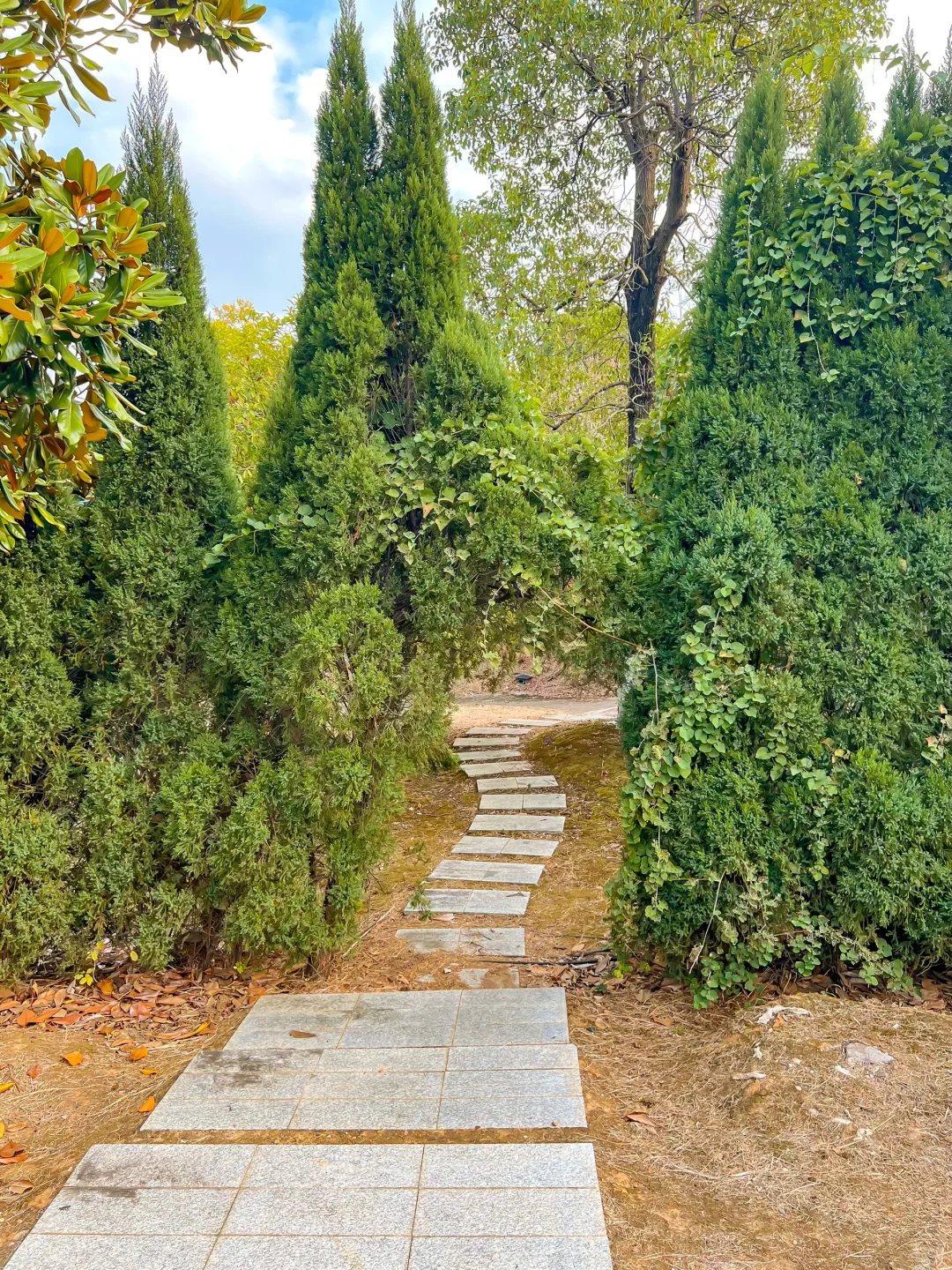 地铁直达的世外桃源，竟然99%南昌人没来过！