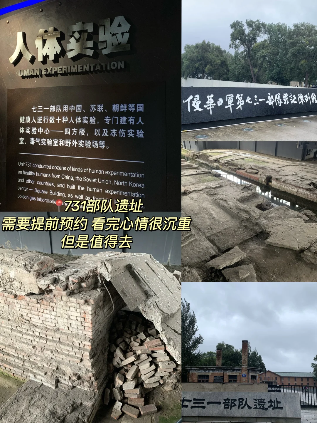 淡季哈尔滨📍旅游攻略（体验感拉满💕