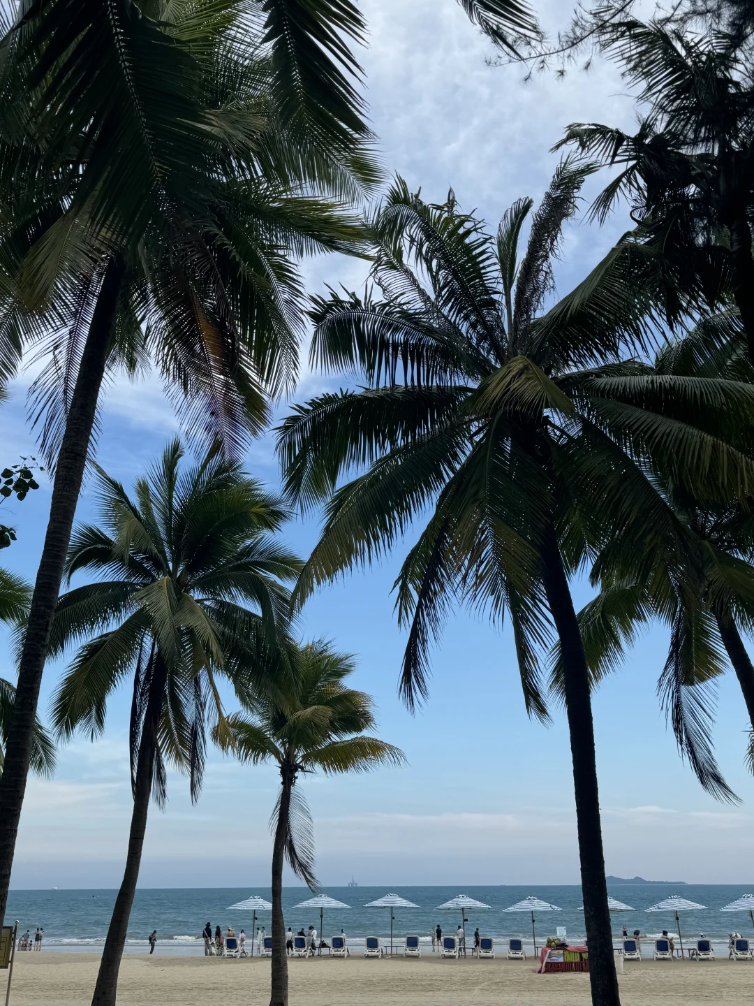 三亚4天3晚，对自己的行程满意哭了🥹🥹