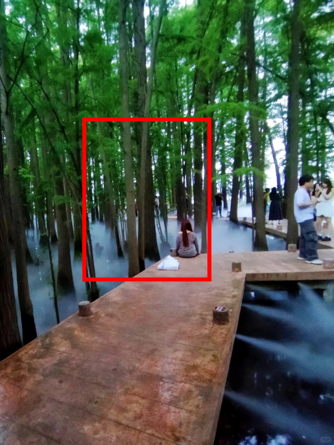 武汉东湖超全拍照打卡地按攻略📸建议收藏