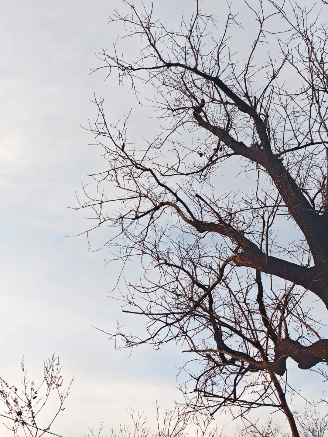 岗南水库私藏观景点，带娃徒步超惬意