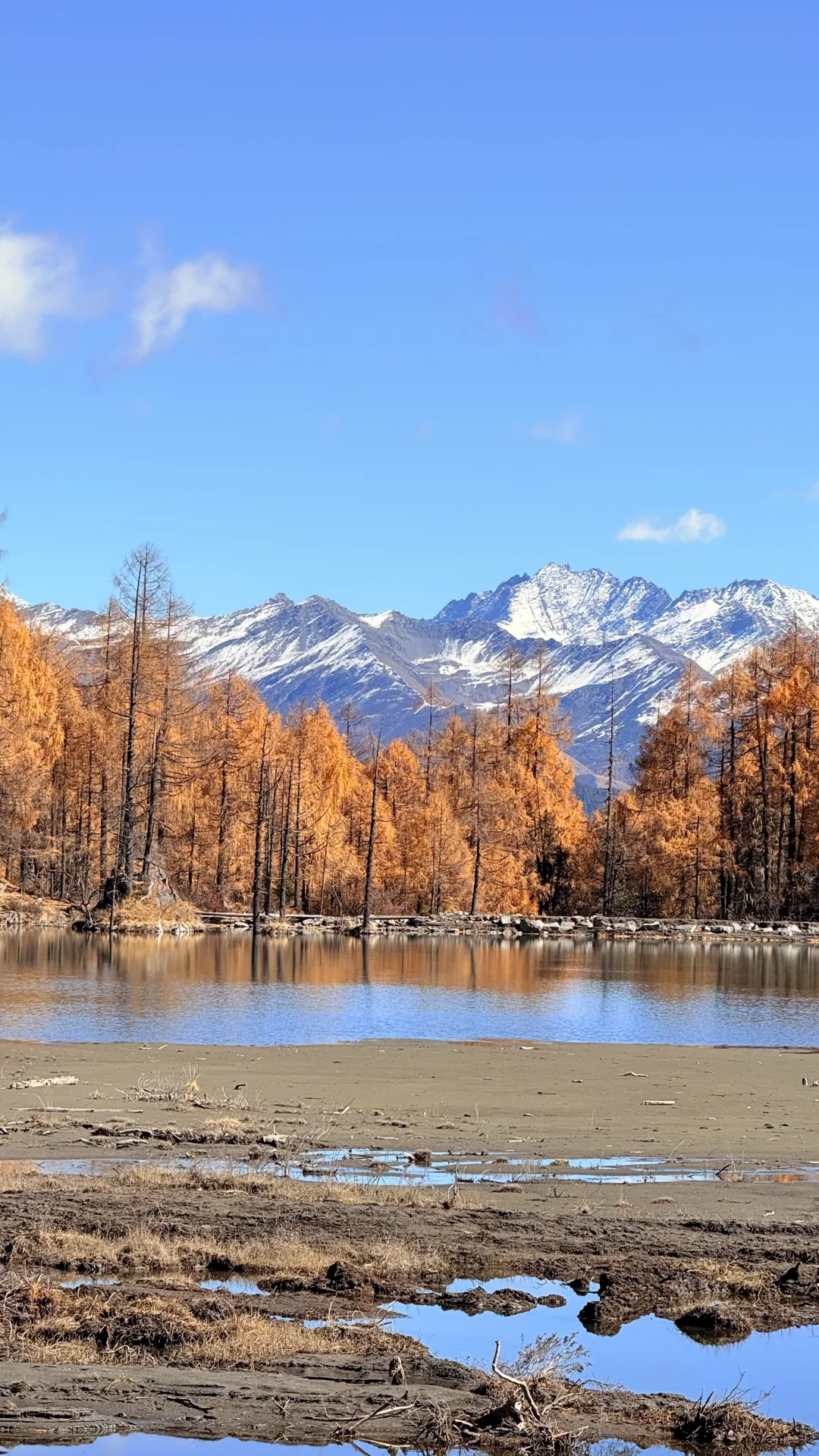 去玛嘉沟的人嘴真严