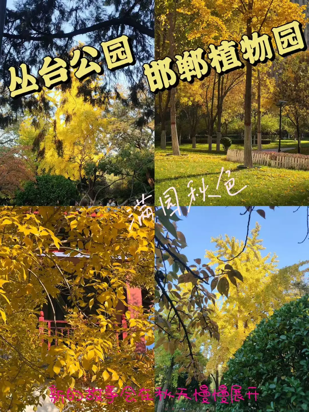 🍂邯郸秋日漫步