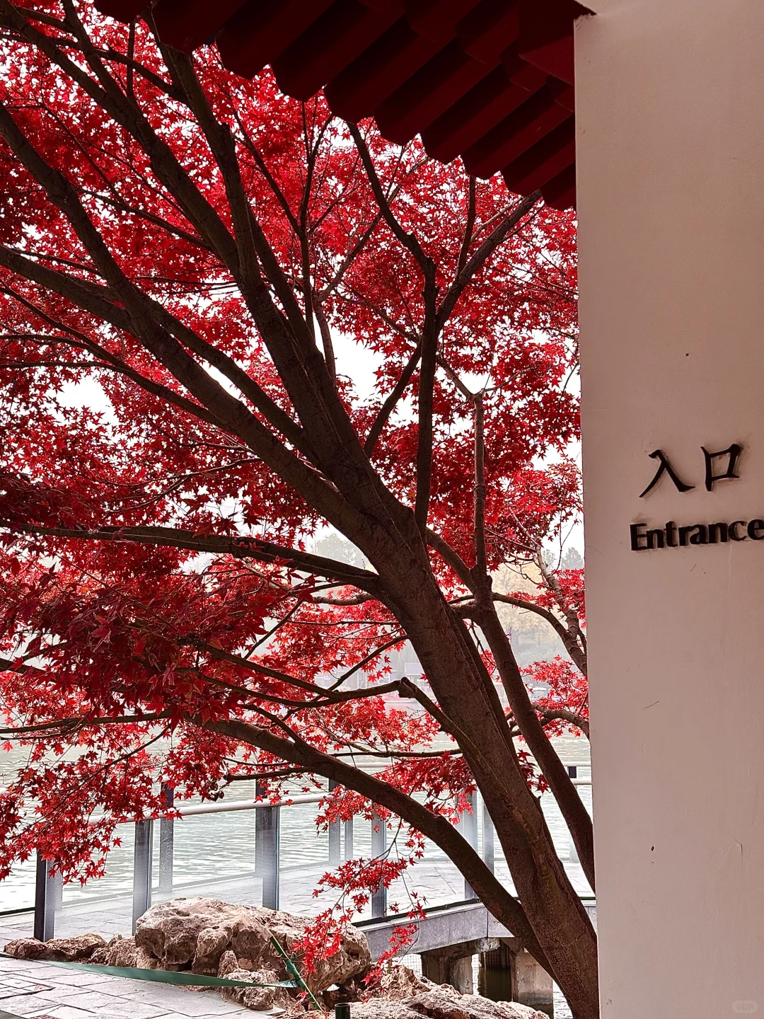 北京的秋还没结束！本周9️⃣个公园赏秋依然美