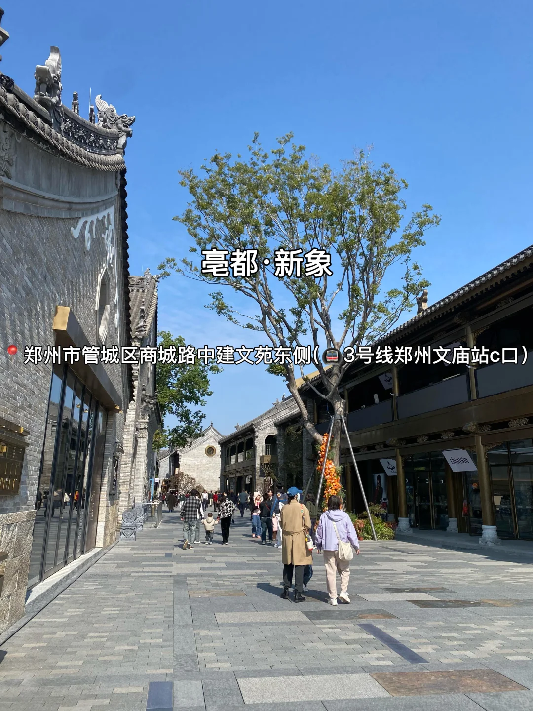 郑州适合citywalk的9条街道！好逛好拍～