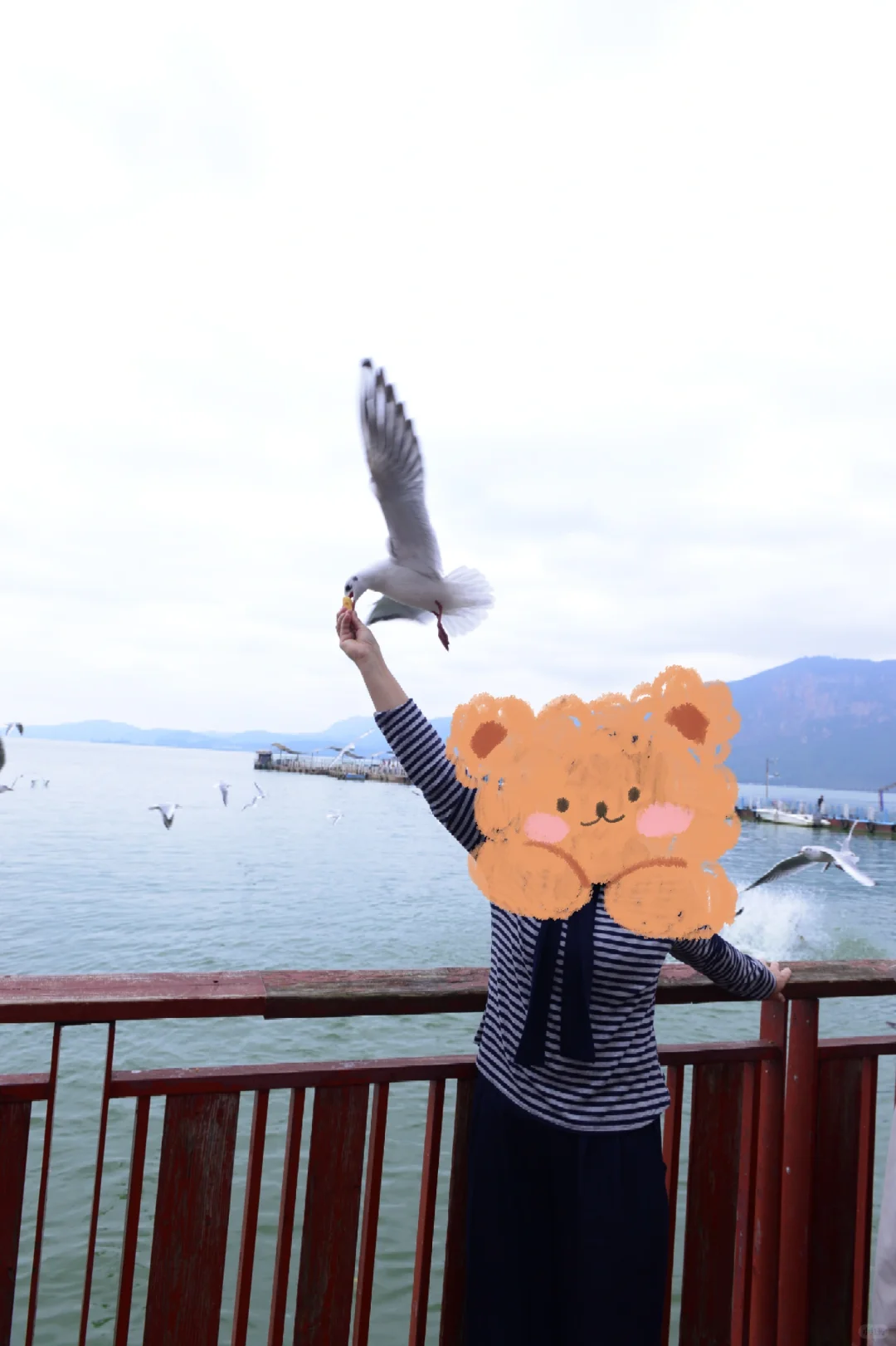 带老妈云南旅游记录攻略day2昆明