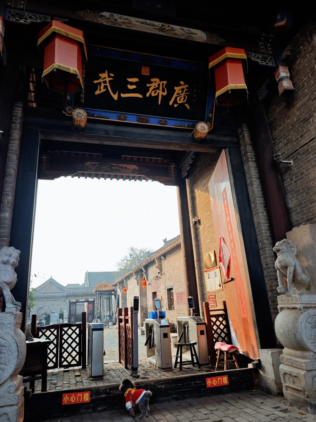 带狗🐶自驾邯郸 | citywalk的一天