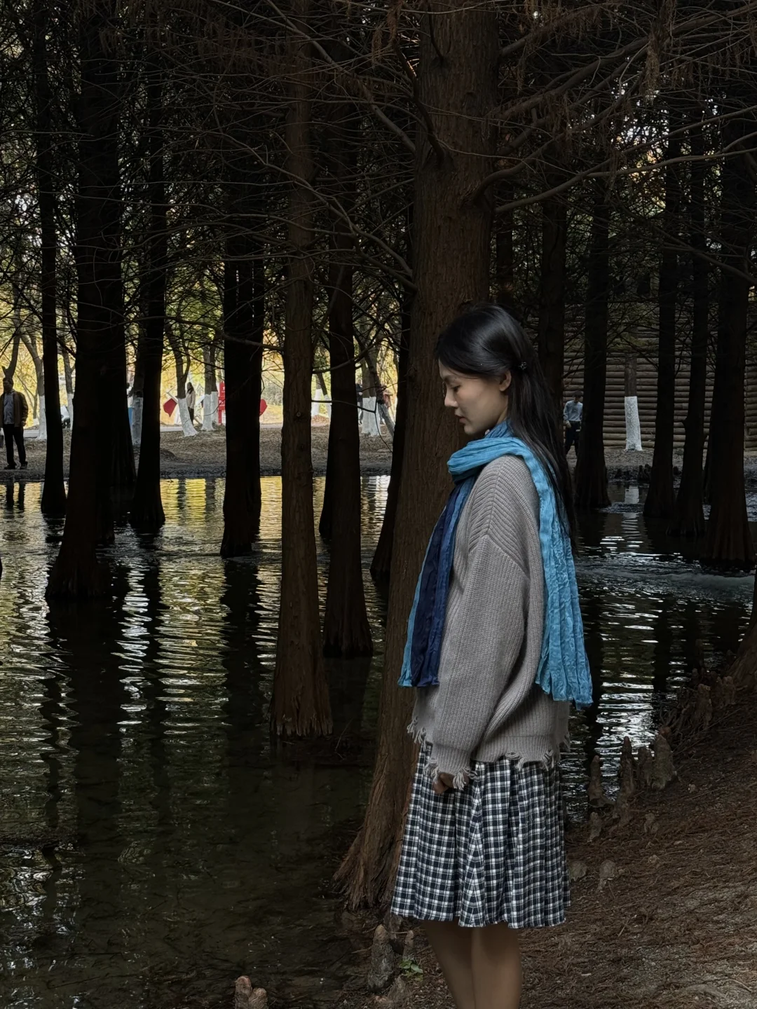 常州|新北水上森林公园