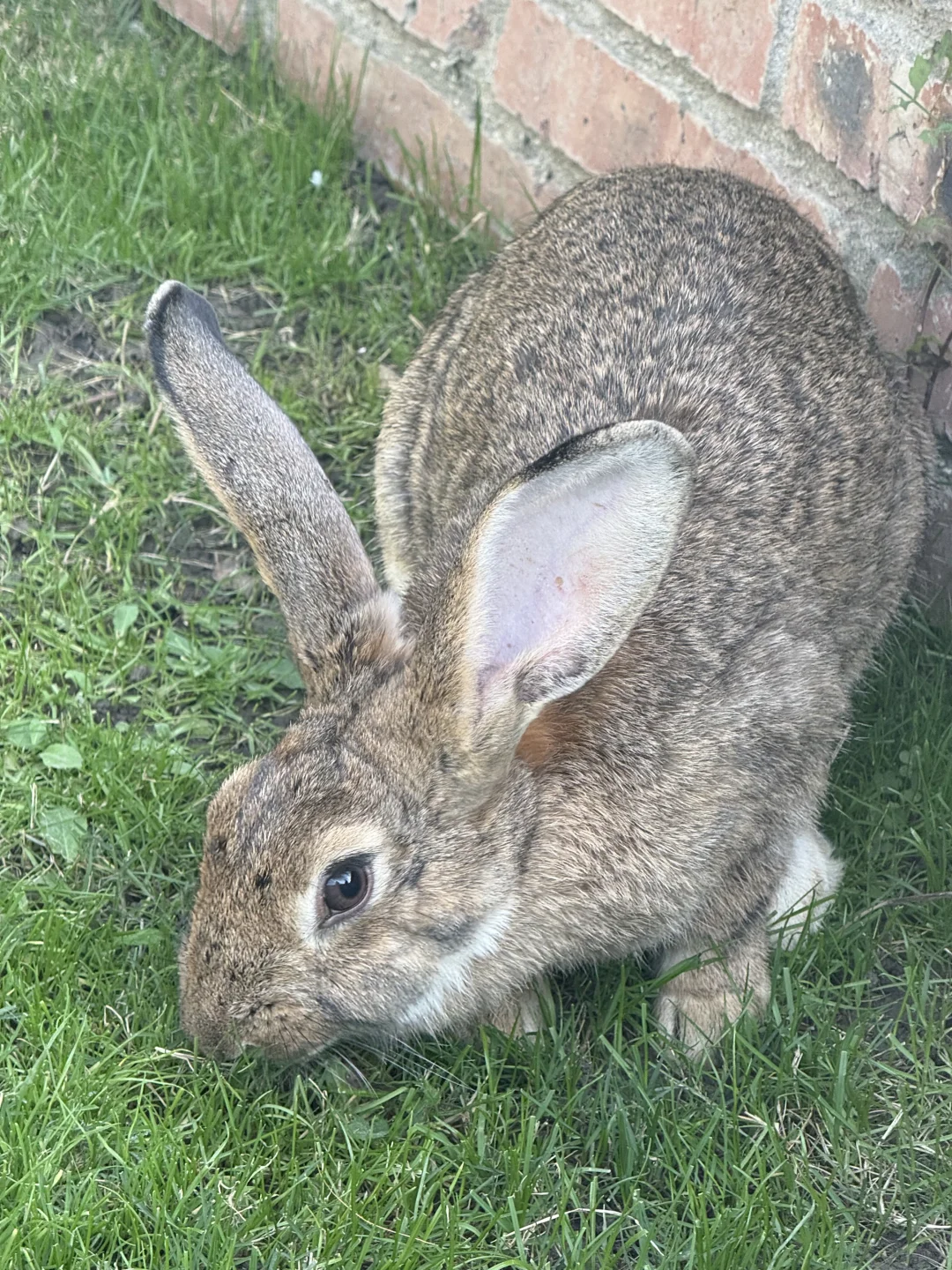 上海闵行免费景点-得丘创意园区🌳