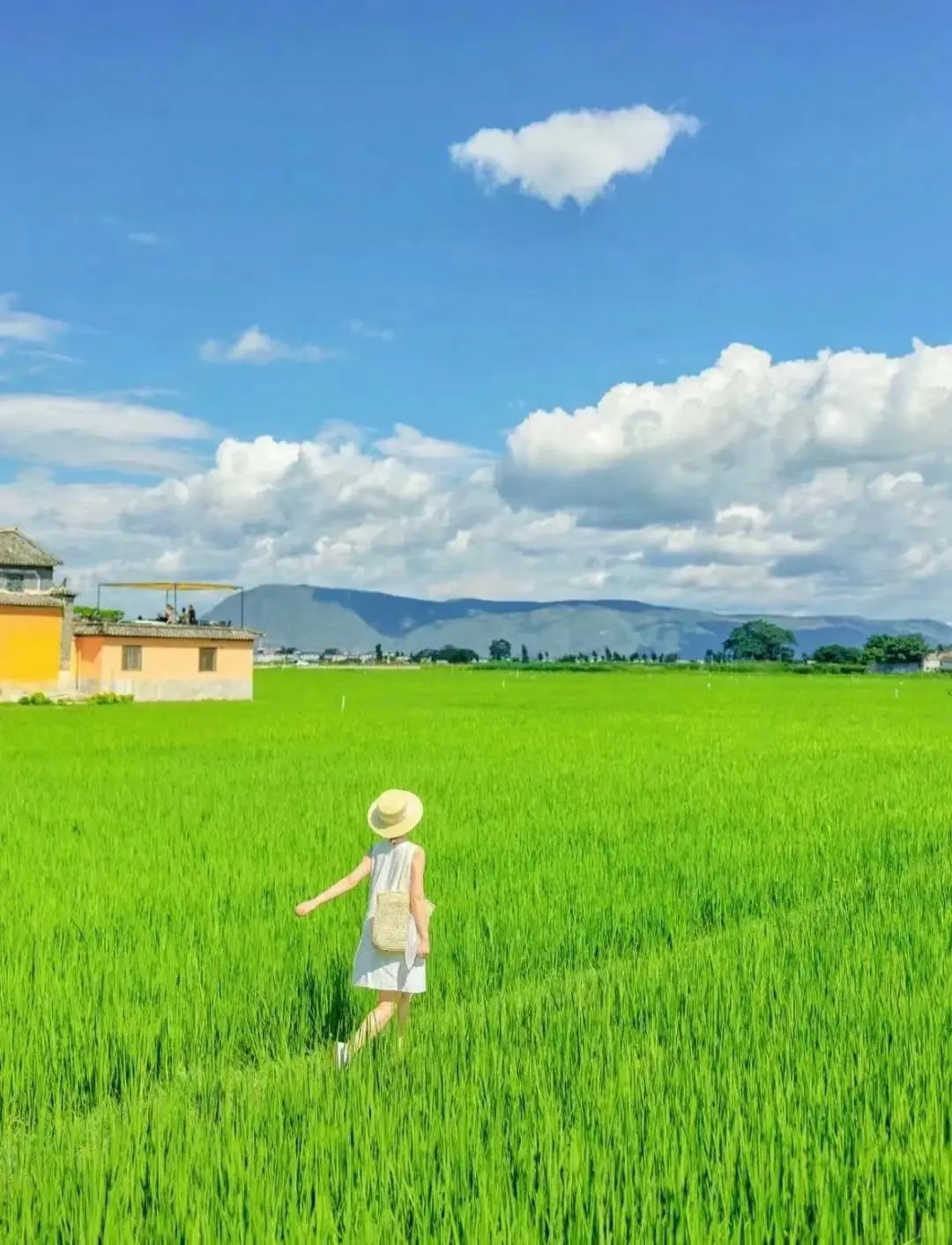 10~12月📍计划去云南的姐妹们✅速速查收