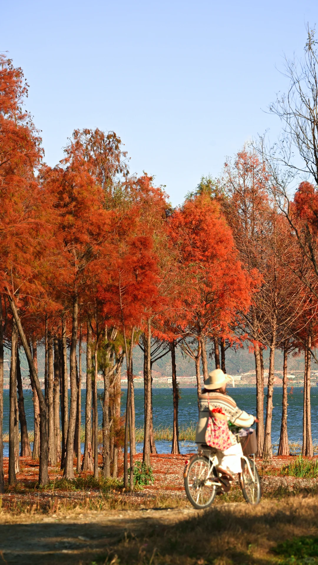 迄今为止最喜欢的秋日旅行地🍂大理两日攻略