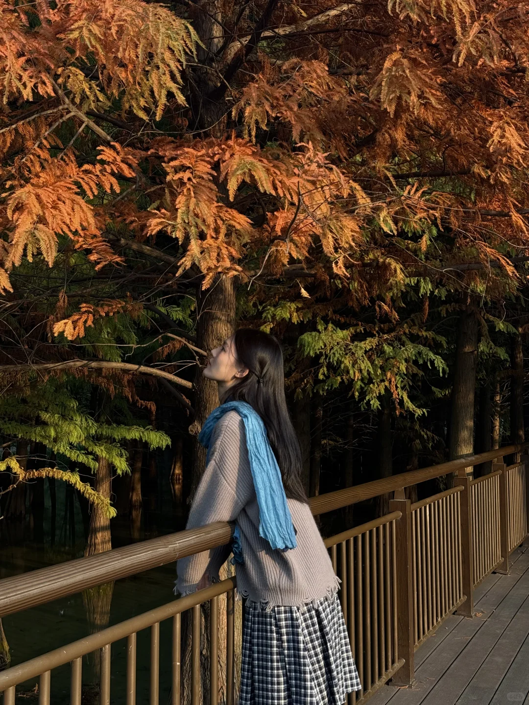 常州|新北水上森林公园