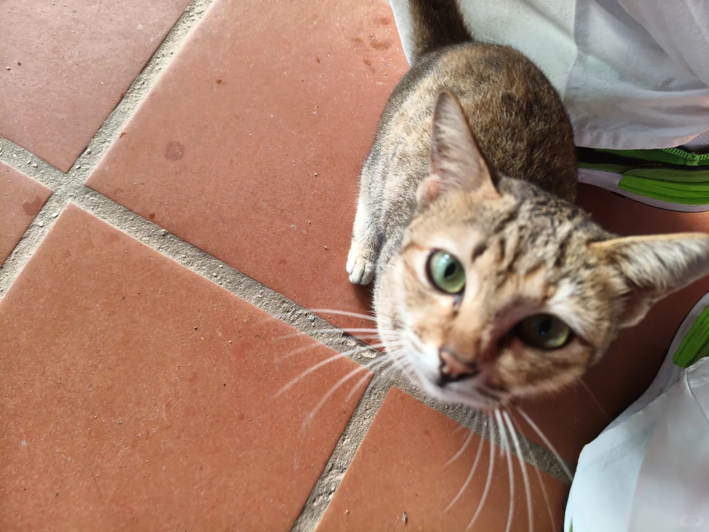 柬埔寨旅游攻略看这一篇就够