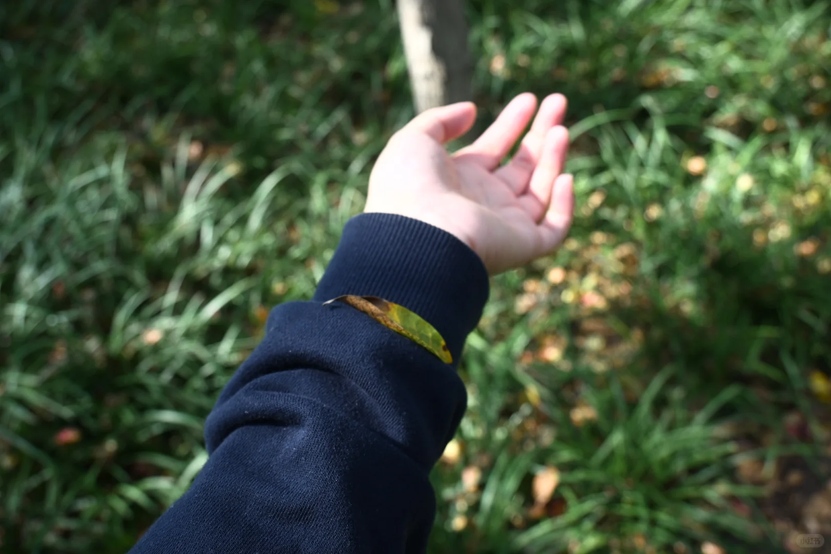 邯郸赵苑 | 初秋风光