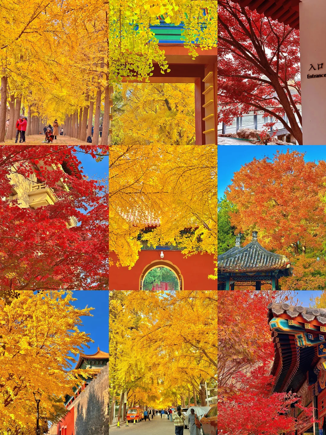 北京的秋还没结束！本周9️⃣个公园赏秋依然美