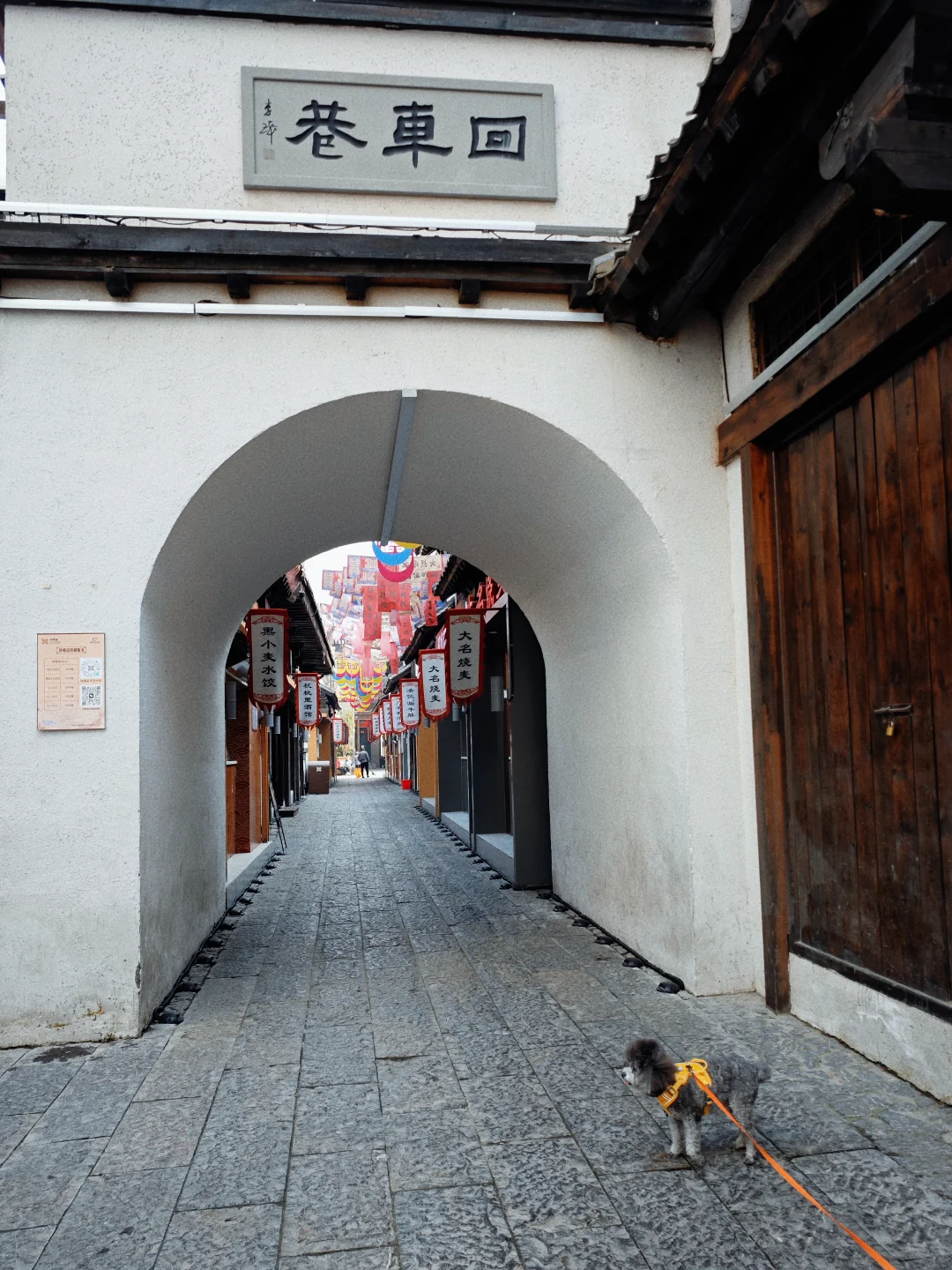 带狗🐶自驾邯郸 | citywalk的一天