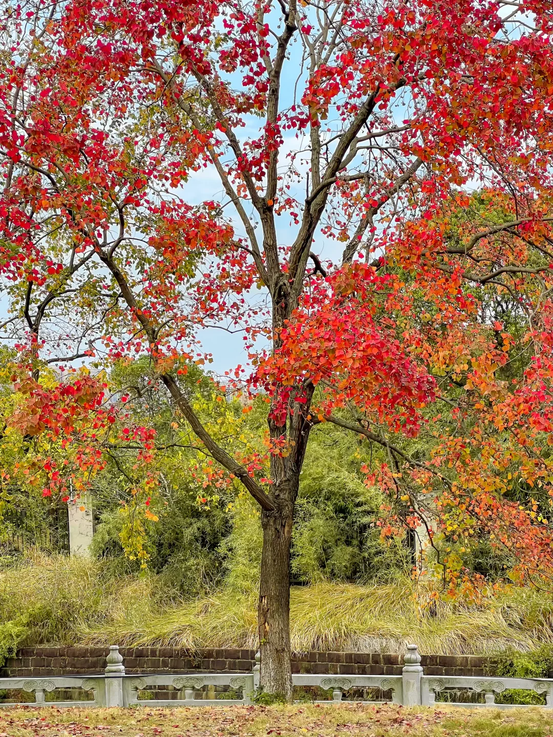 地铁直达的世外桃源，竟然99%南昌人没来过！