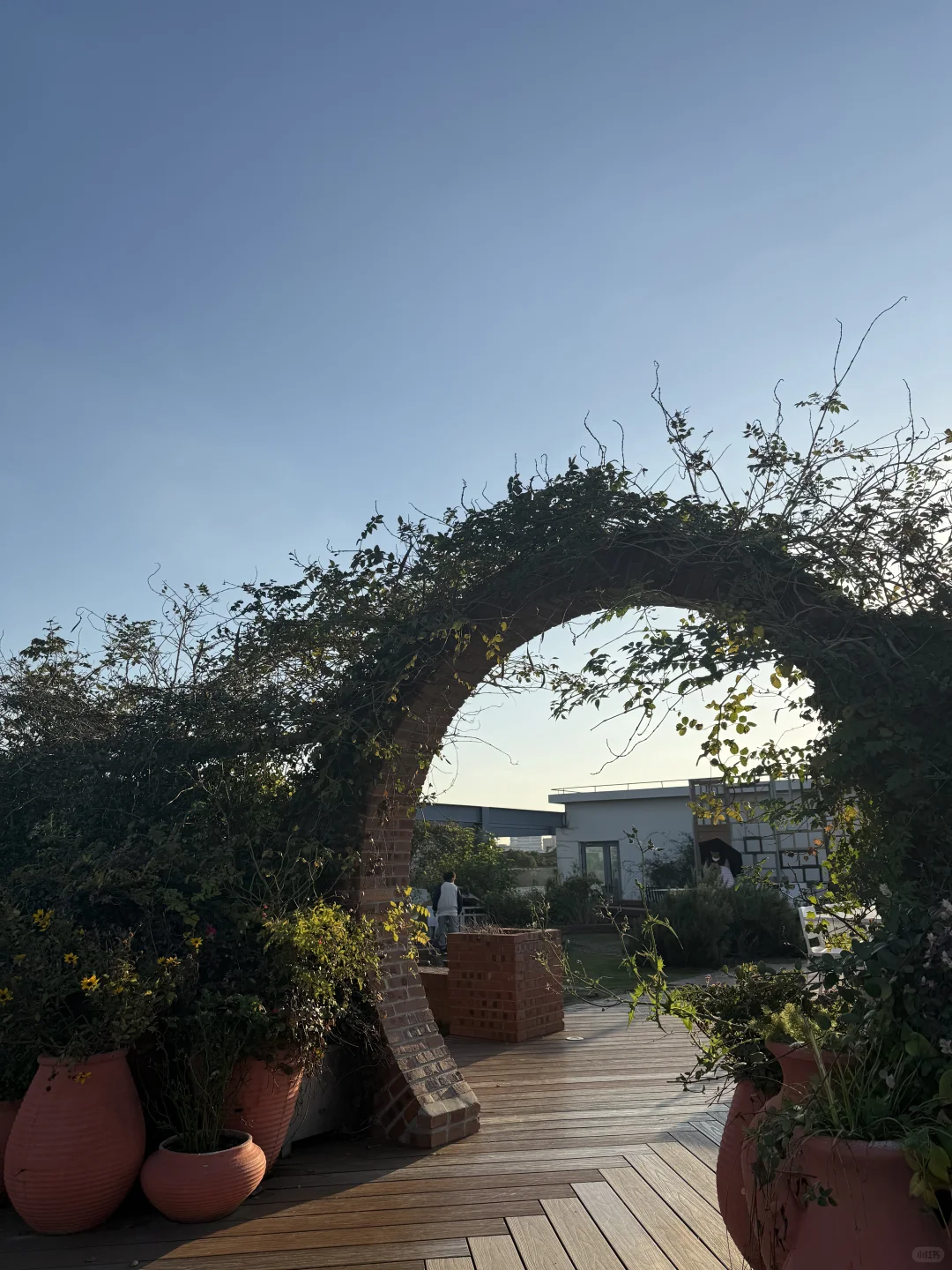 上海闵行免费景点-得丘创意园区🌳