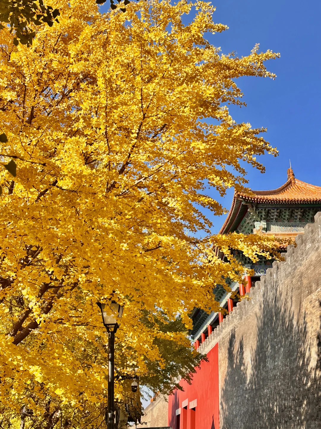 北京的秋还没结束！本周9️⃣个公园赏秋依然美