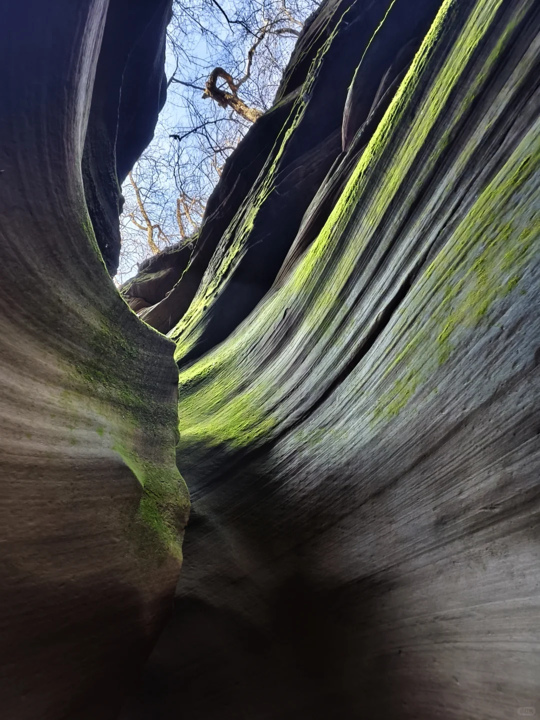 山西行｜Day4️⃣延安-靖边