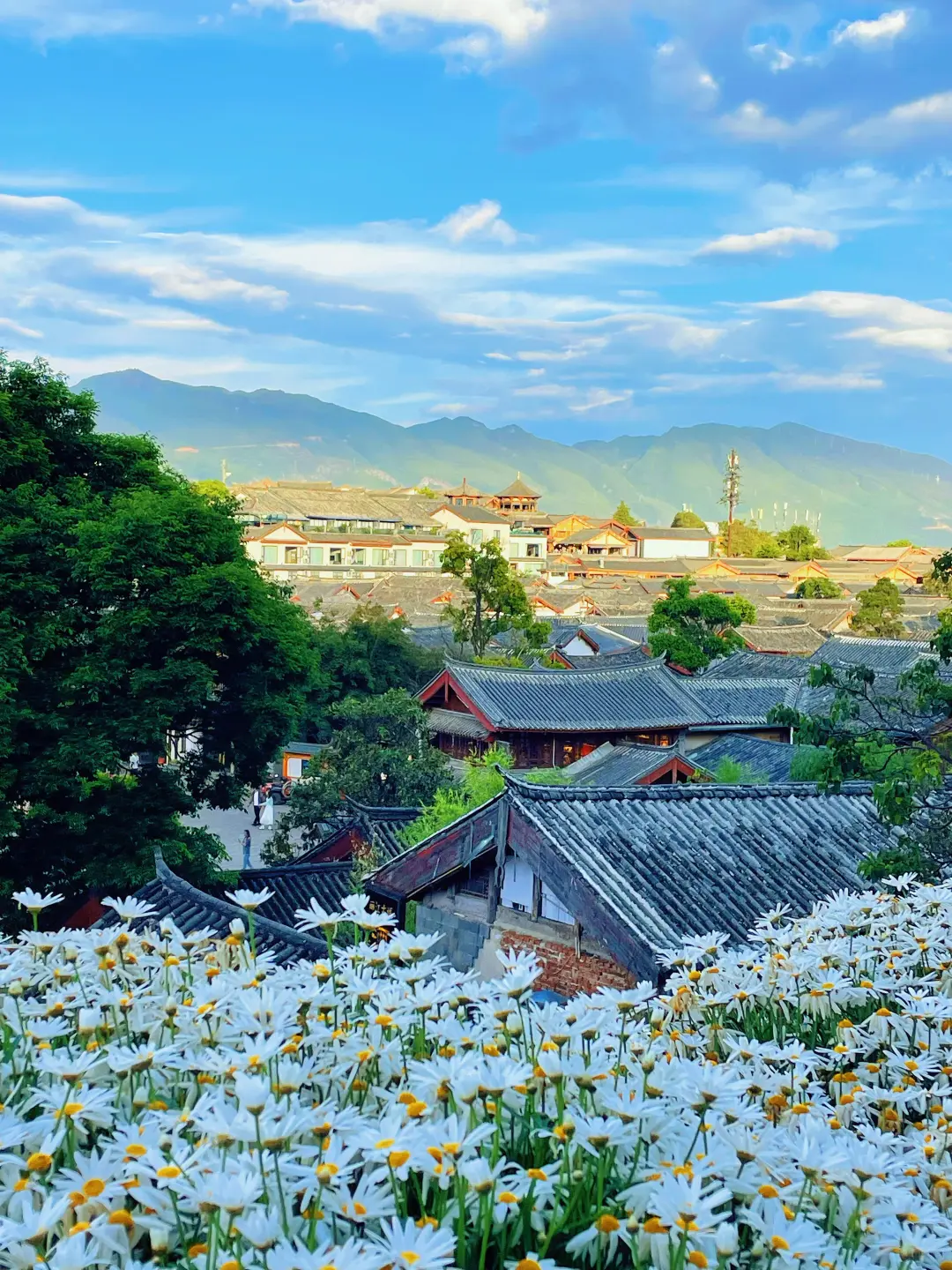 国庆来云南✅这份云南旅游攻略别错过❗码住