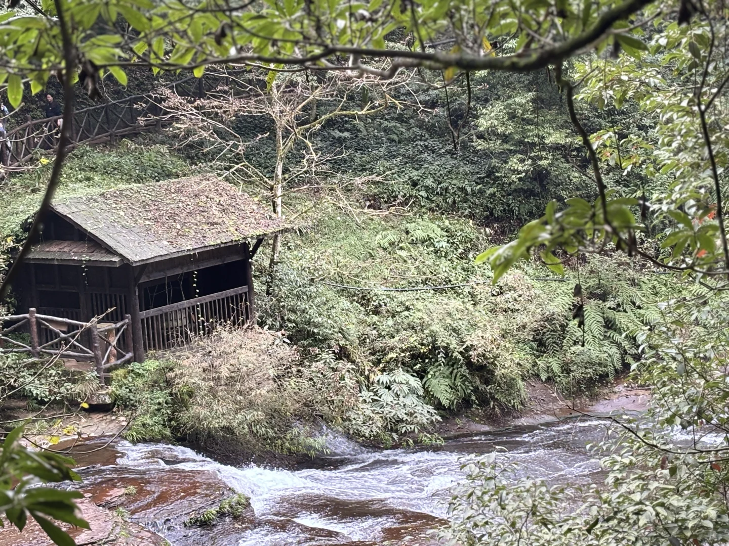 11.14号天台山｜没有胖萤萤也无所谓