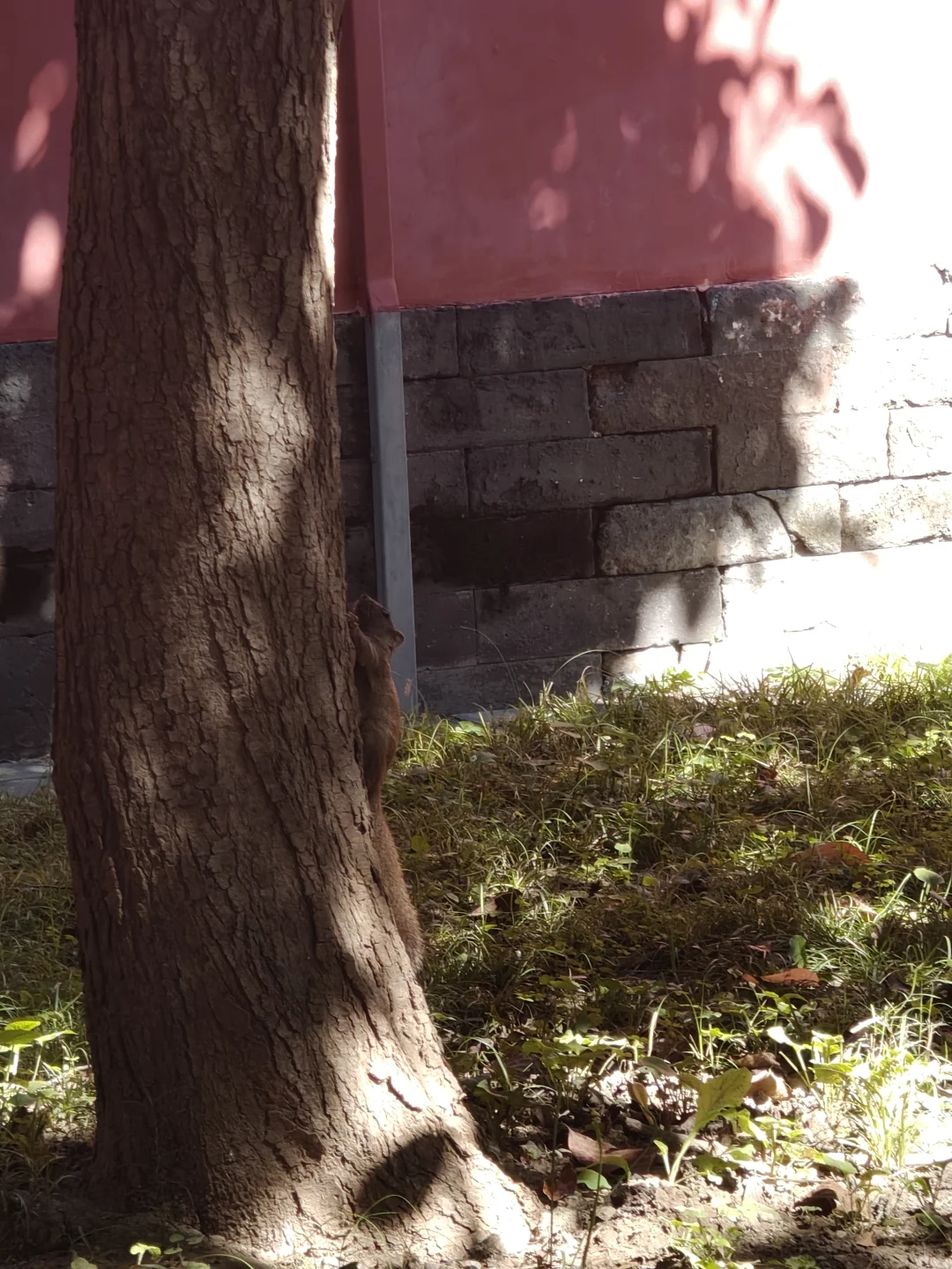 带老妈北京旅行的第一天