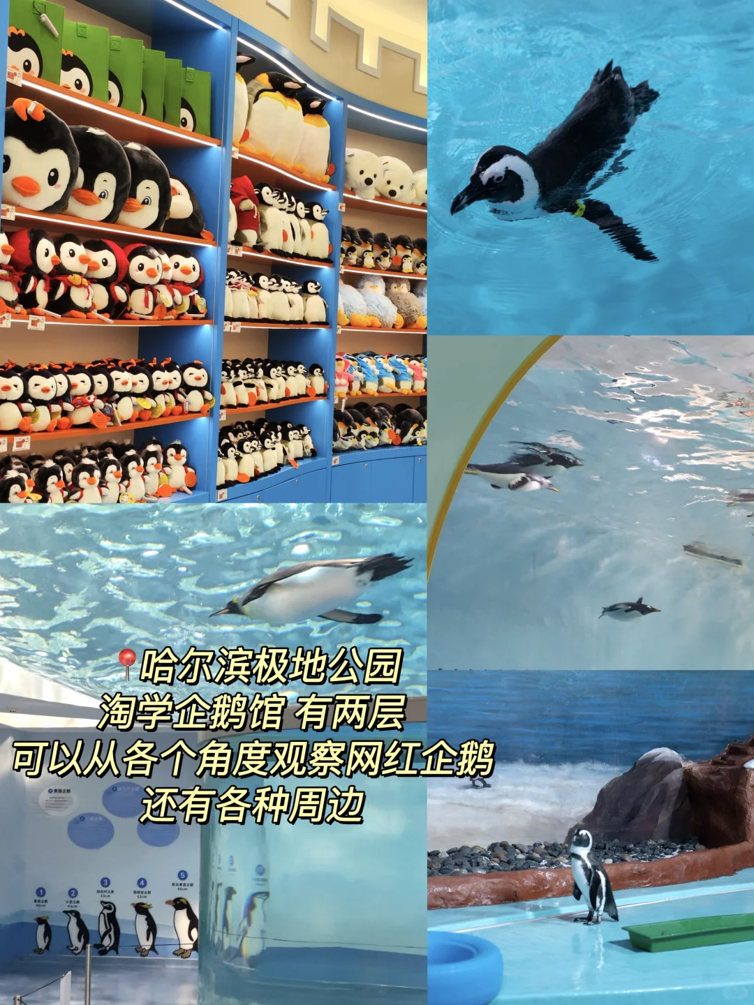 淡季哈尔滨📍旅游攻略（体验感拉满💕