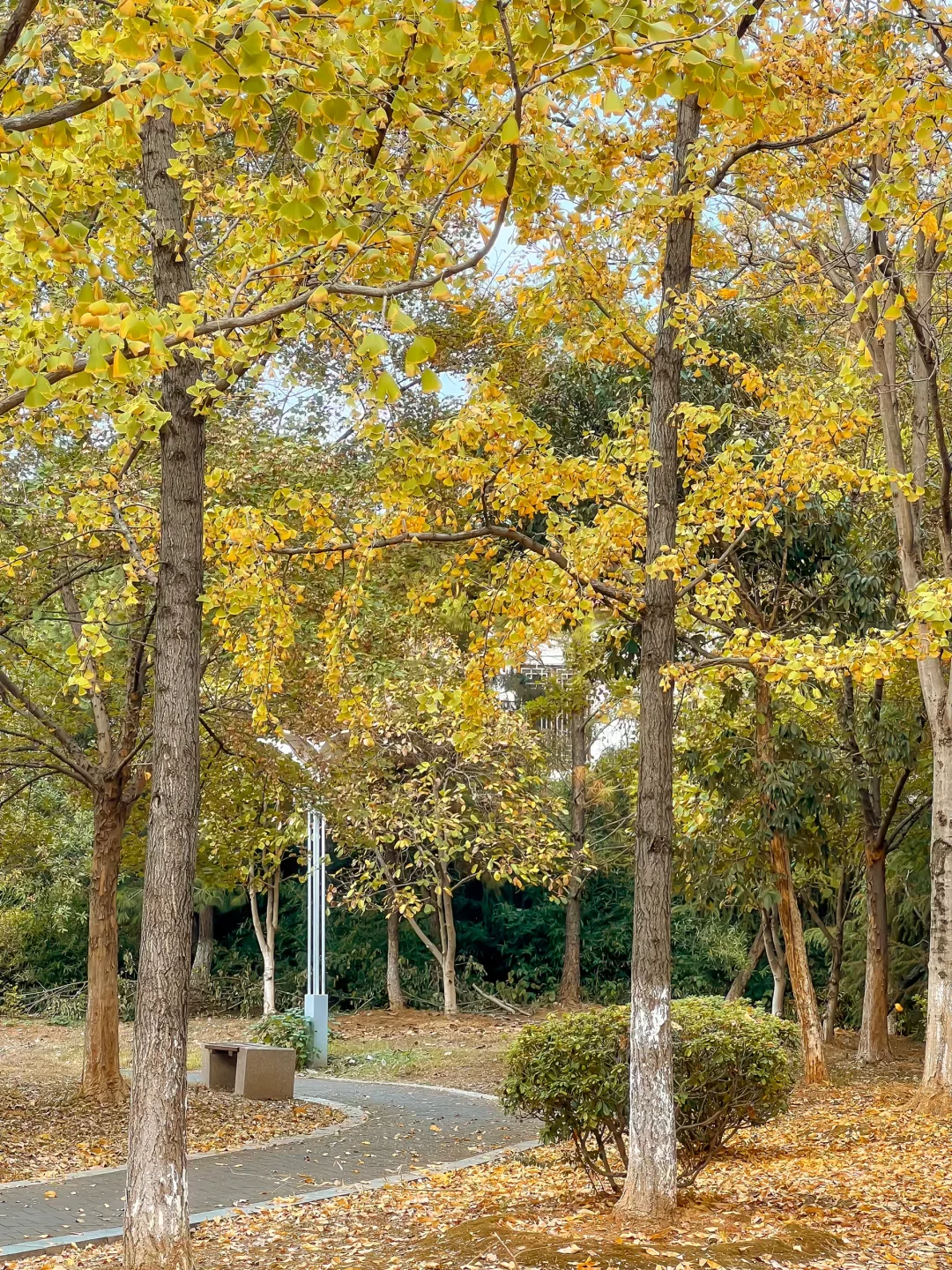 地铁直达的世外桃源，竟然99%南昌人没来过！