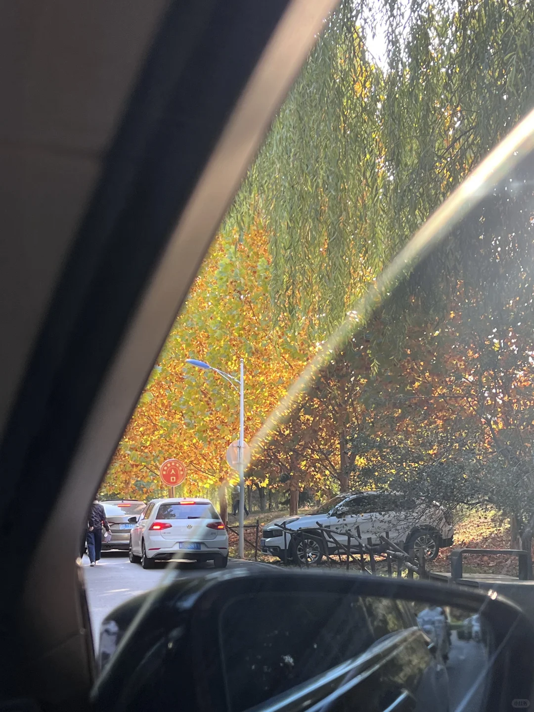 🍂邯郸秋日漫步